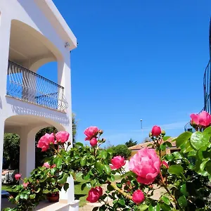 La Tartaruga Bianca Hotel Valledoria (Sardinia)
